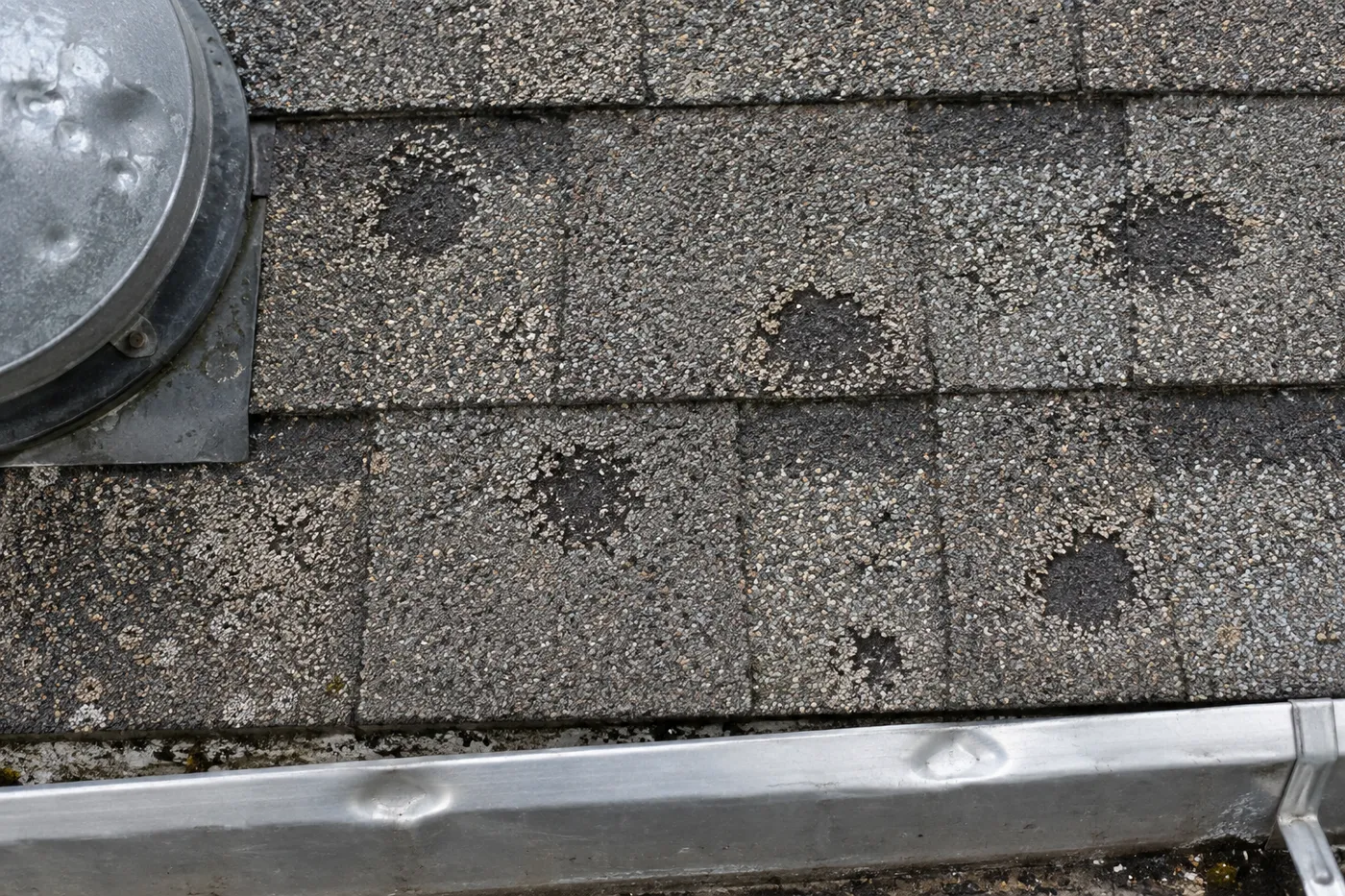 Close-up of what hail damage looks like on an asphalt shingle roof - circular patches of missing granules exposing the darker mat, beside a dented aluminum gutter.